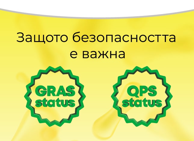 tablet accent banner 13