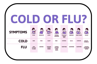 Пробиотик срещу вируси – мисията е възможна